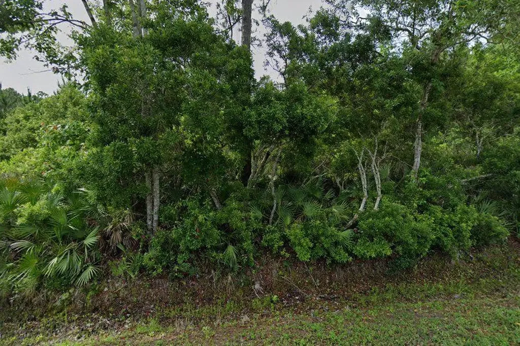 0 Carter South Road St Augustine FL 32084