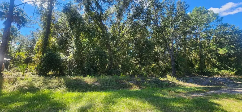915 Paradise Boulevard Georgetown FL 32139