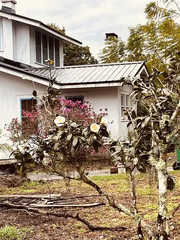 128 Magnolia Crescent City FL 32112