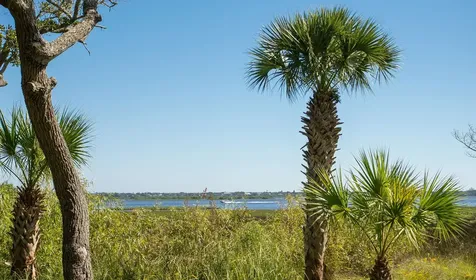37 Tarragona Court St Augustine FL 32086