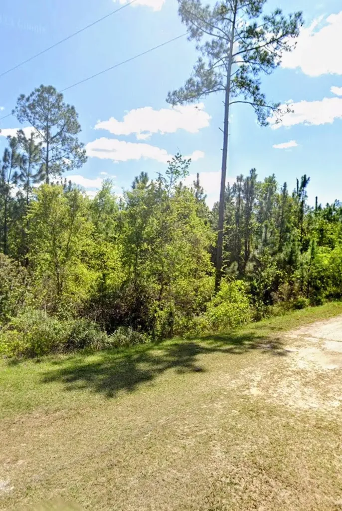 Tbd Birch Boulevard Georgetown FL 32139