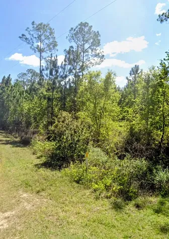 Tbd Birch Boulevard Georgetown FL 32139