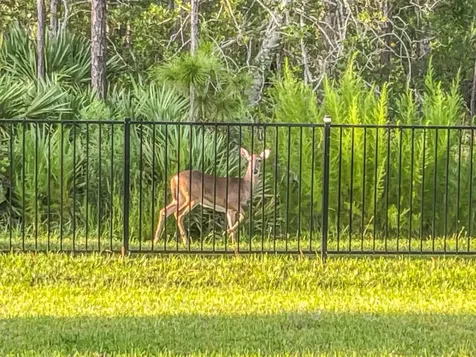 503 Stone Arbor Lane St Augustine FL 32086