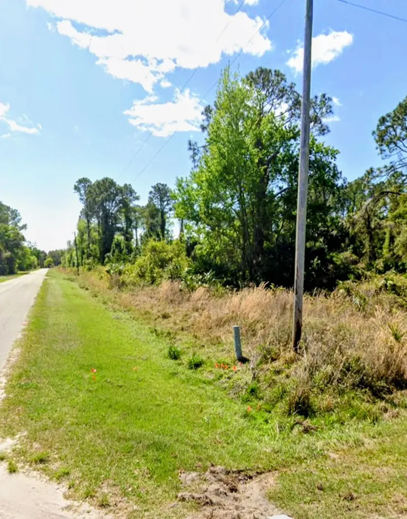 Palm Way Georgetown FL 32139