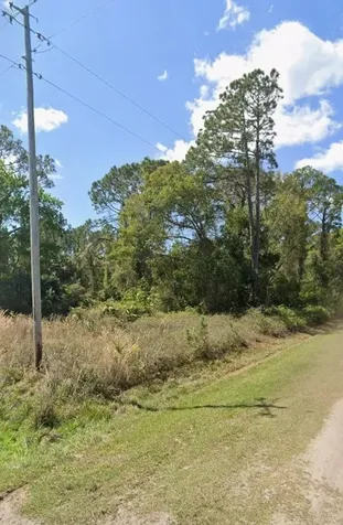 Palm Way Georgetown FL 32139
