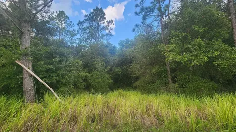 129 Lake View Drive Pomona Park FL 32181