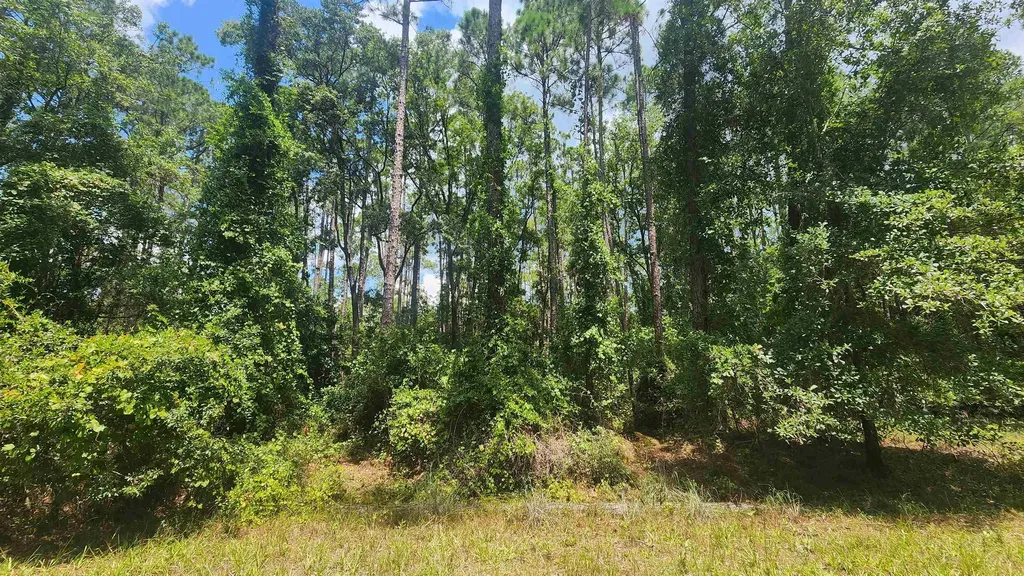 130 Helen Avenue Georgetown FL 32139