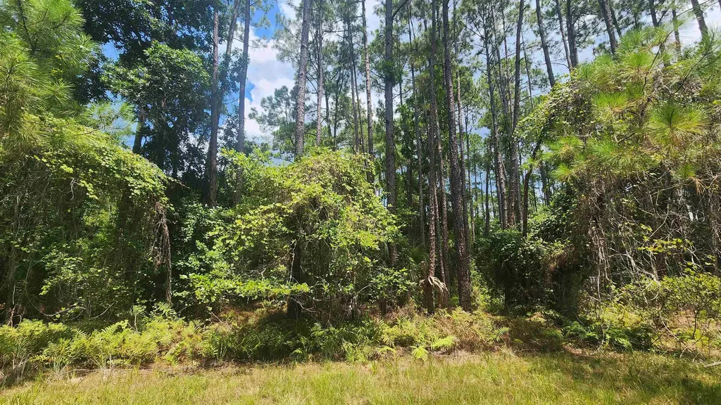 126 Helen Avenue Georgetown FL 32139