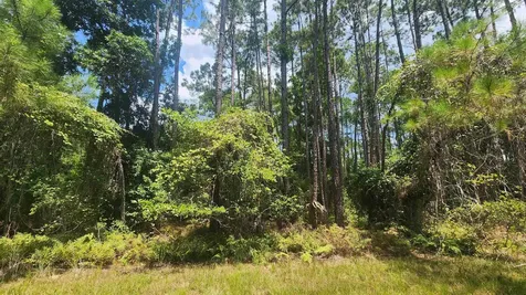126 Helen Avenue Georgetown FL 32139