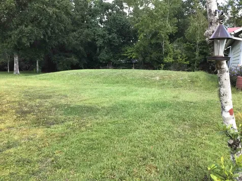 9620 Dillon Avenue Hastings FL 32145