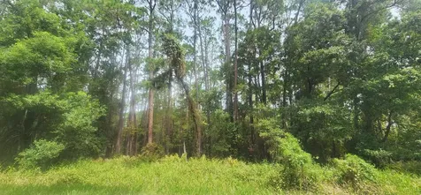 422 Dogwood Avenue Georgetown FL 32139