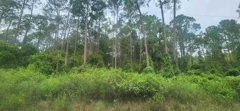 220 2nd Street Georgetown FL 32139
