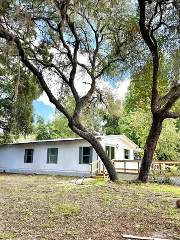 23670 NE 154th Place Salt Springs FL 34471