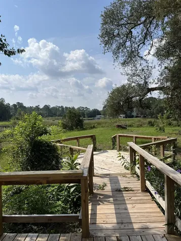 23670 NE 154th Place Salt Springs FL 34471