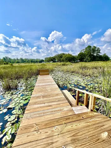 23670 NE 154th Place Salt Springs FL 34471