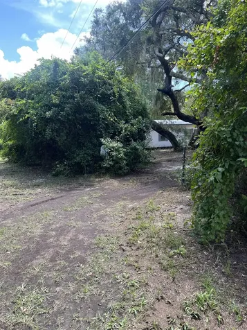 23670 NE 154th Place Salt Springs FL 34471