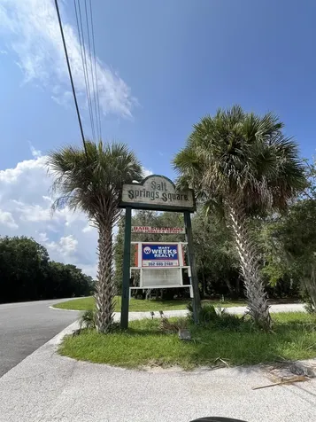 23670 NE 154th Place Salt Springs FL 34471