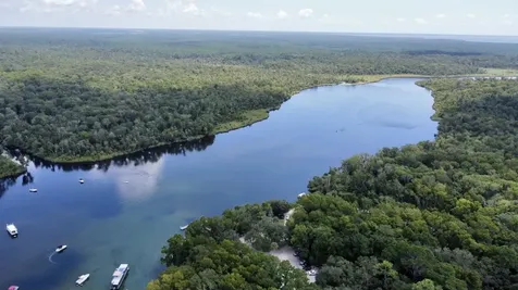 23670 NE 154th Place Salt Springs FL 34471