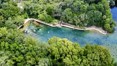 23670 NE 154th Place Salt Springs FL 34471