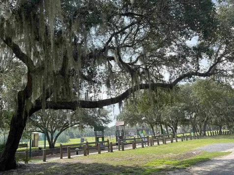23670 NE 154th Place Salt Springs FL 34471
