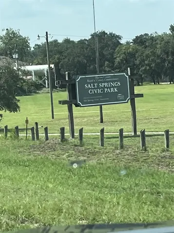 23670 NE 154th Place Salt Springs FL 34471