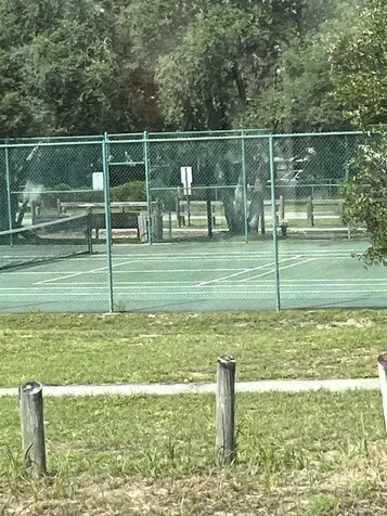 23670 NE 154th Place Salt Springs FL 34471