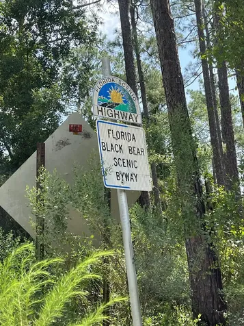23670 NE 154th Place Salt Springs FL 34471
