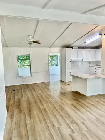 23670 NE 154th Place Salt Springs FL 34471