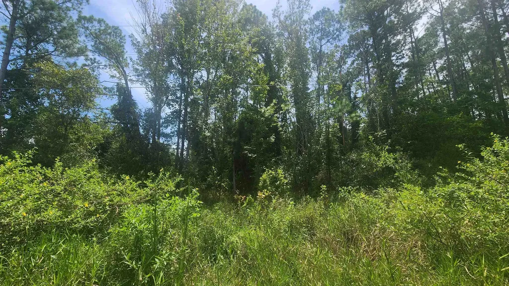 225 2nd Street Georgetown FL 32139