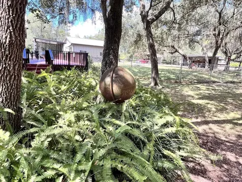 124 Neal Road Hawthorne FL 32640