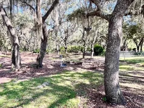 124 Neal Road Hawthorne FL 32640