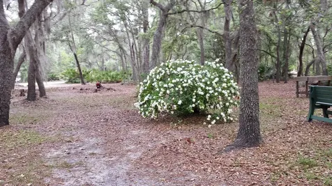 124 Neal Road Hawthorne FL 32640