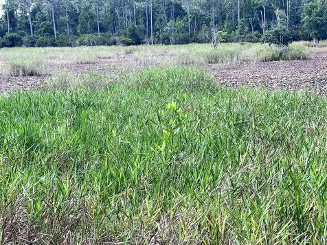 124 Neal Road Hawthorne FL 32640