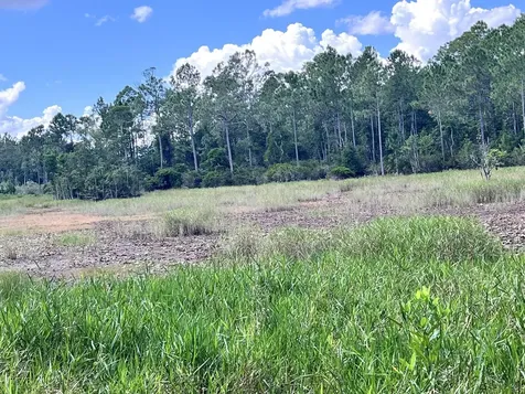 124 Neal Road Hawthorne FL 32640