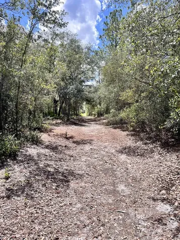 124 Neal Road Hawthorne FL 32640