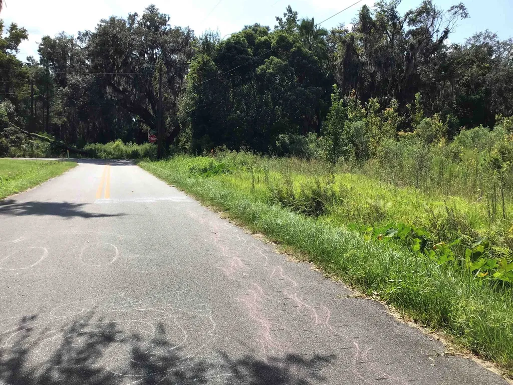 102 Kingsley Street Palatka FL 32131