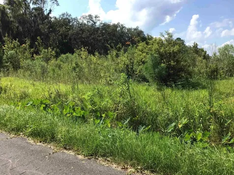 102 Kingsley Street Palatka FL 32131