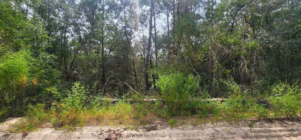 109 Locevan Lane Florahome FL 32140