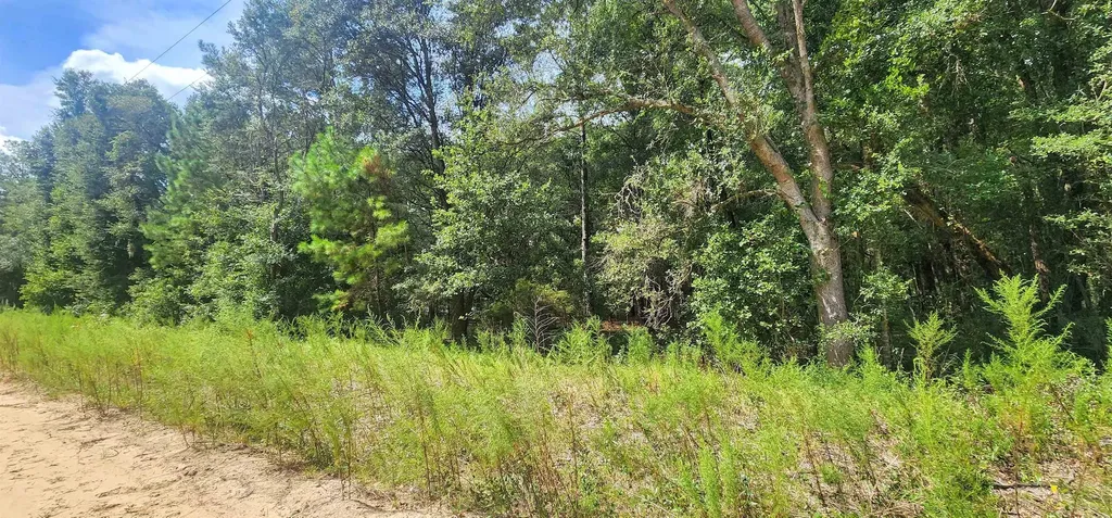 Donys Avenue Interlachen FL 32148