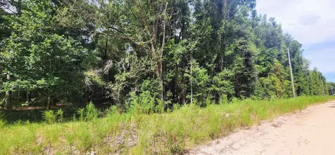 Donys Avenue Interlachen FL 32148