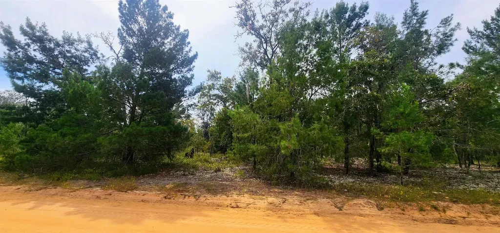 Main Street Interlachen FL 32148