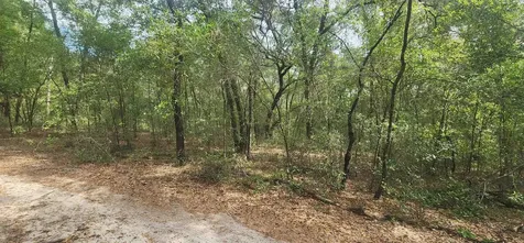 Tbd Helen Place Hawthorne FL 32640