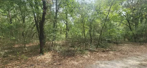 Tbd Helen Place Hawthorne FL 32640