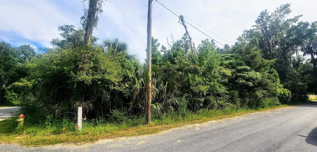 502 E Washington Street Interlachen FL 32148