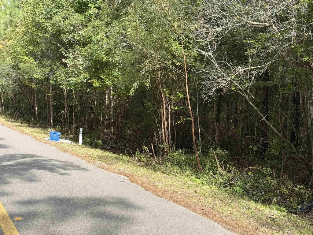 104 Cypress Road Satsuma FL 32189