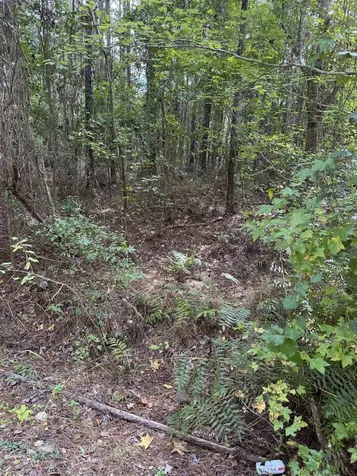 104 Cypress Road Satsuma FL 32189
