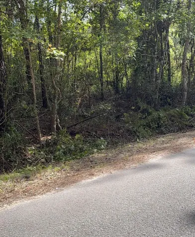 104 Cypress Road Satsuma FL 32189
