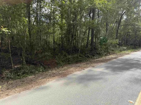 104 Cypress Road Satsuma FL 32189
