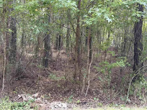 104 Cypress Road Satsuma FL 32189