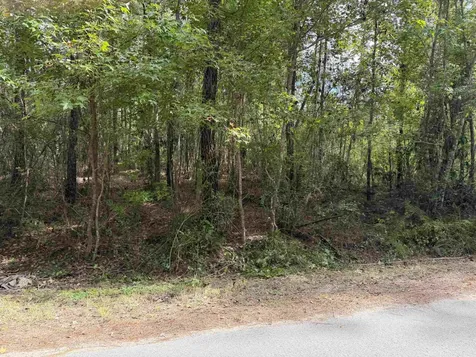 104 Cypress Road Satsuma FL 32189